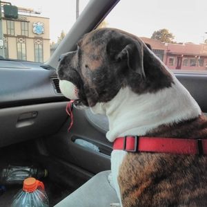 Meet your Posher, Phillip